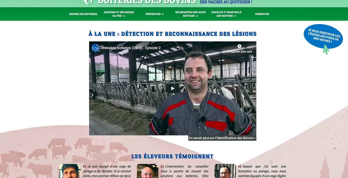 Boiteries Des Bovins Un Site Dédié Pour Sinformer Journal Paysan Breton